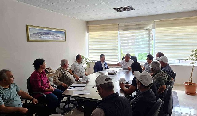 Üzümler organik yetişecek