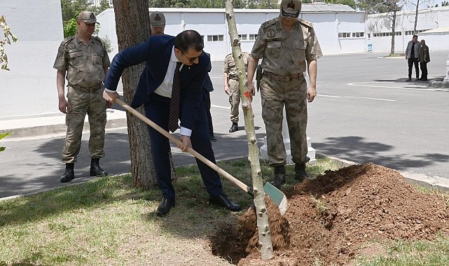Vali Ayhan Mehmetçik ile birlikte ağaç dikti