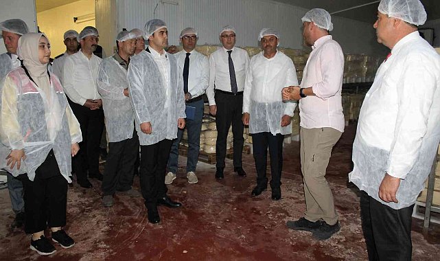 Vali Şıldak Manyas&#039;ta çeşitli incelemeler de bulundu