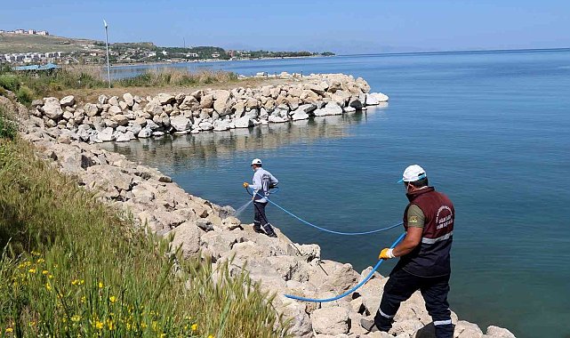Van Büyükşehir Belediyesinin ilaçlama çalışmaları devam ediyor
