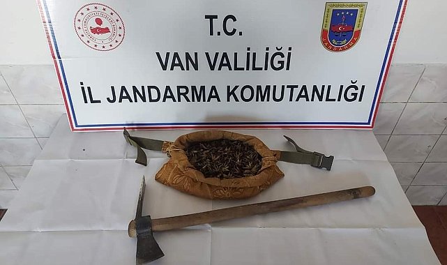 Van&#039;da salep soğanı toplayan 7 kişi yakalandı