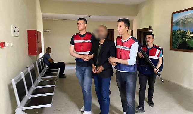 Van'da terör örgütüne üye olmaktan aranan şahıs yakalandı