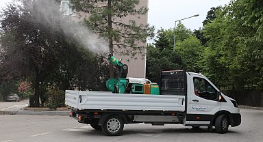 Vektörle mücadele çalışmaları aralıksız sürüyor