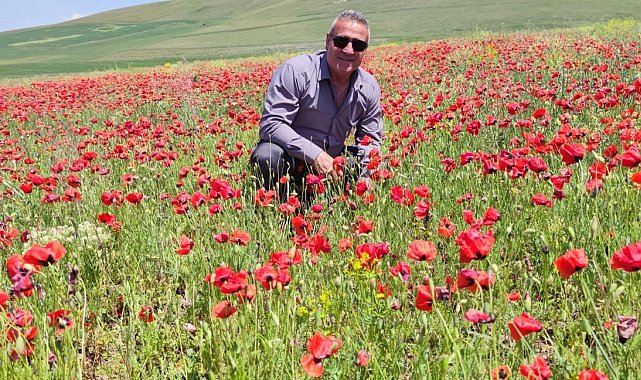 Yaban gülleri mest etti