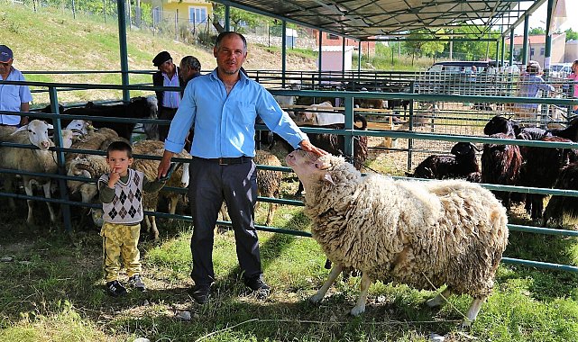 Yaklaşan Kurban Bayramı besicileri umutlandırdı
