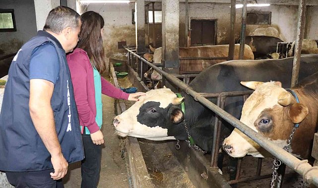 Yaklaşan Kurban Bayramı öncesi sıkı denetim