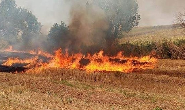 Yalova Altınova itfaiyesinden orman ve anız yangını uyarısı