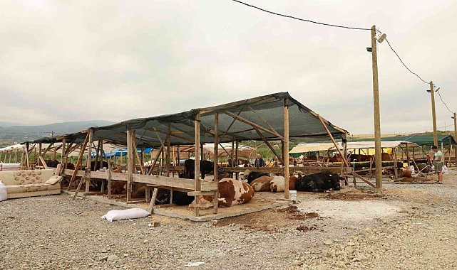 Yalova Kurban Pazarı artık Kazımiye köyünde