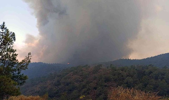 Yangın yönünü Okluk Koyu&#039;na çevirdi