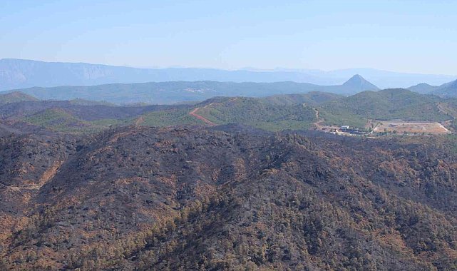 Yangından sonra Bördübet havadan görüntülendi