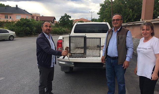 Yaralı kuşlara yardım eli