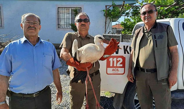 Yaralı leylek ve yavru kerkenez emin ellerde