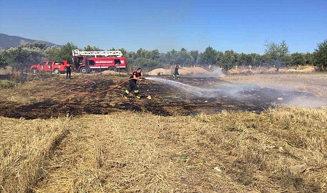 Yatağan&#039;daki yangında 6 dönüm alan zarar gördü