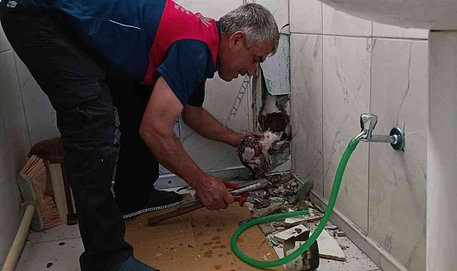 Yavru kedi borudan çıkartıldı