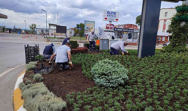 Yaz geldi, Darıca'da çalışmalar hızlandı
