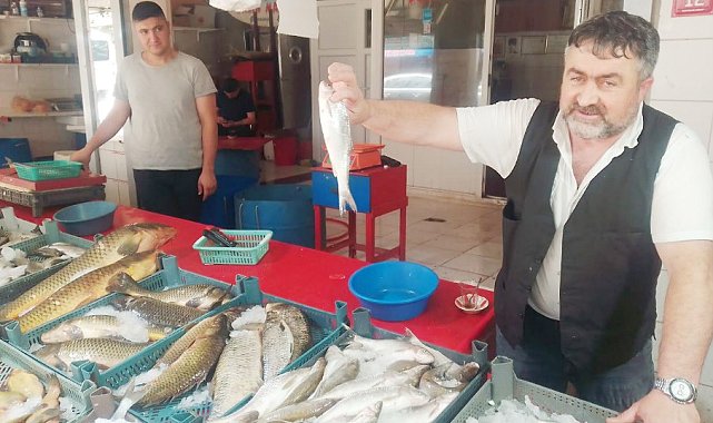 Yaz sezonu balıkları tezgahlarda yerini aldı