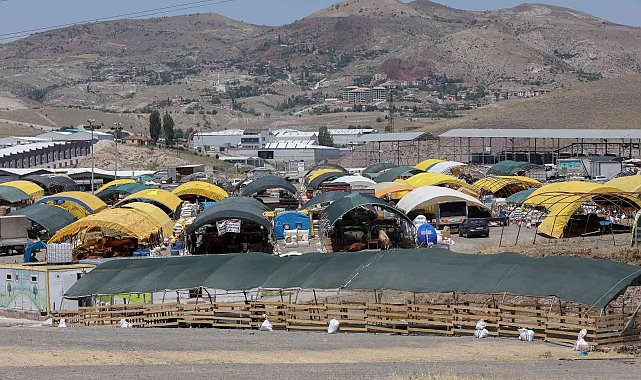 Yenimahalle'de kurban satış alanında çadırlar kurulmaya başlandı