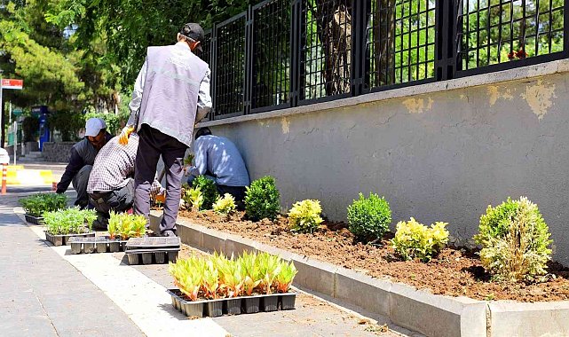 Yenişehir&#039;de park ve bahçelerde bakım