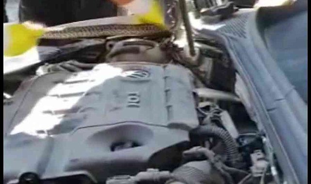 Yılan otomobilin motoruna girdi