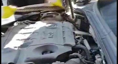 Yılan otomobilin motoruna girdi