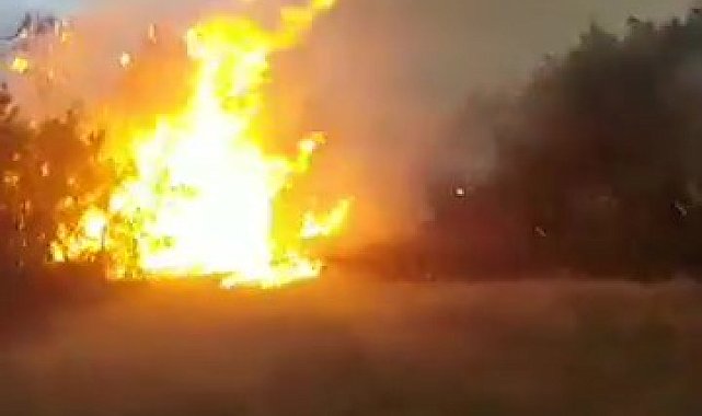 Yıldırım düşmesi sonucu çıkan yangında 10 dönüm alan zarar gördü