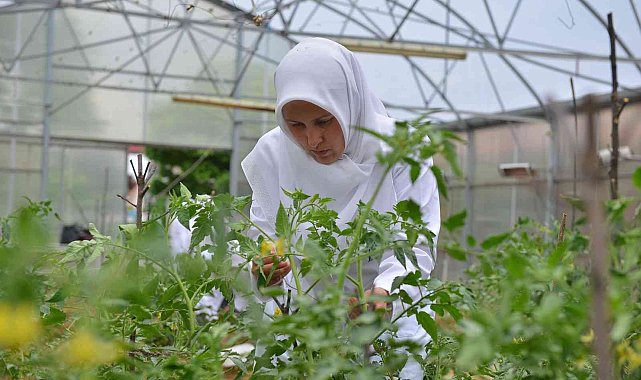 Yıldırım&#039;ın &#039;Özel&#039; anneleri üretiyor