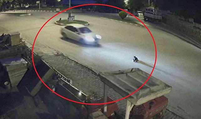 Yolun ortasında yatan köpeği ezdi, hiçbir şey olmamış gibi yoluna devam etti