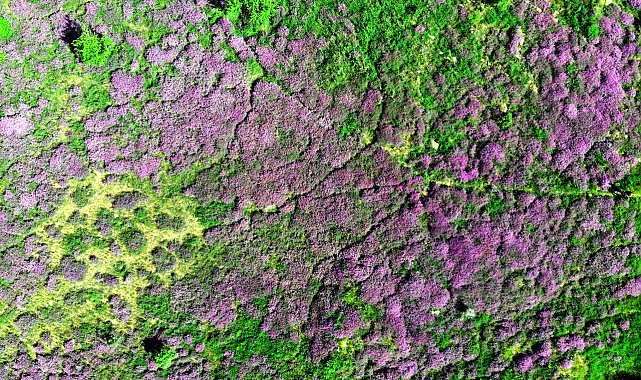 Yozgat'ta yağlıboya tablolarını andıran görüntüler