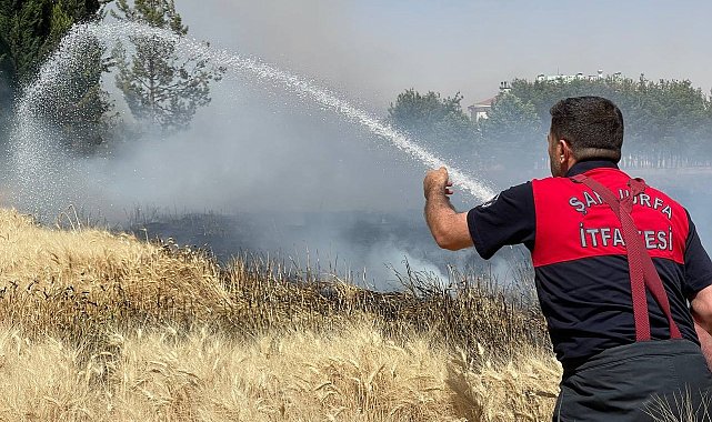Yüksek gerilim hattı buğday tarlasını kül etti