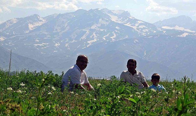 Yüksekova'da iki mevsim bir arada