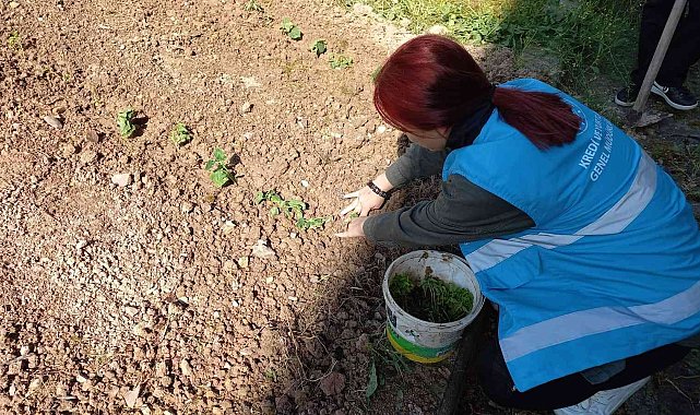 Yurdun bahçesinde Hobi Bahçesi oluşturdular