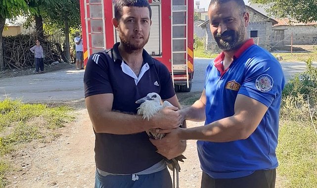 Yuvadan düşen yavru leyleğin yardımına itfaiye koştu