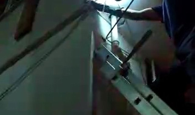 Yuvasından düşen yavru kuşun yardımına itfaiye yetişti