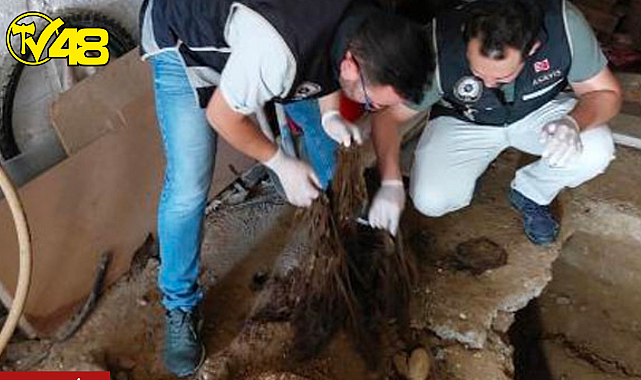 11 yıldır kayıptı, garajında insan kemikleri bulunmuştu; bir kişi tutuklandı