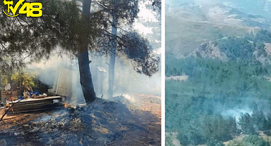 Manisa'da orman yangını