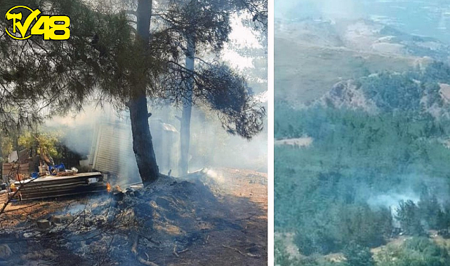 Manisa&#039;da orman yangını