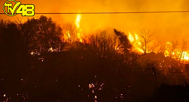 İZMİR ÇEŞME'DE YANGIN!