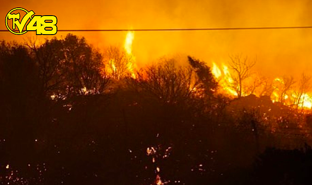 İZMİR ÇEŞME&#039;DE YANGIN!