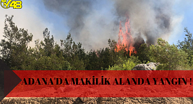 Adana'da Makilik Alanda Yangın