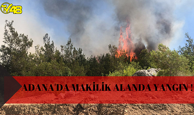 Adana&#039;da Makilik Alanda Yangın