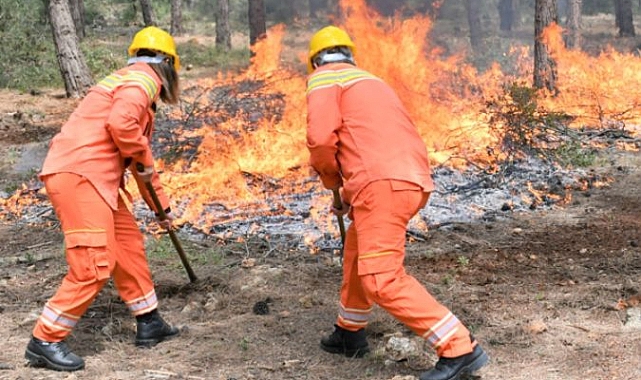 AFAD&#039;dan 6 ile &#039;orman yangını&#039; uyarısı!