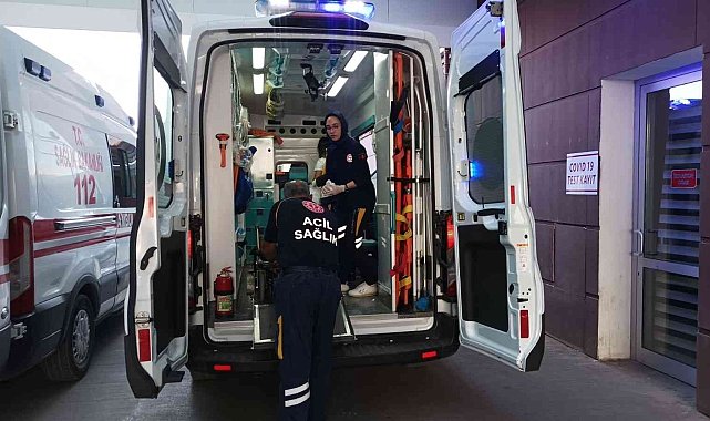 Ağaçtan düşen genç yaralandı