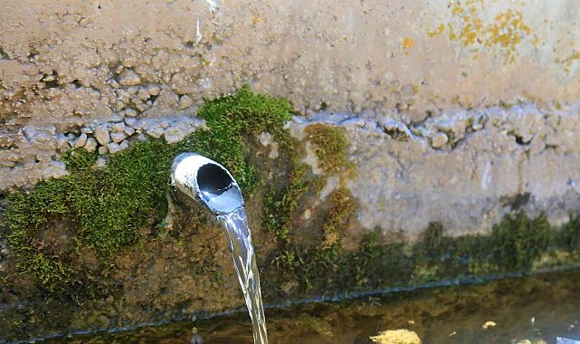 Ardıç kokulu su şifa dağıtıyor