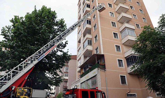 Arılar oğul verdi, belediye duvardan indirdi