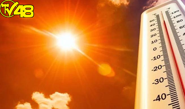 Avrupa&#039;yı kasıp kavuran sıcak hava dalgası Türkiye&#039;ye de gelecek mi ?