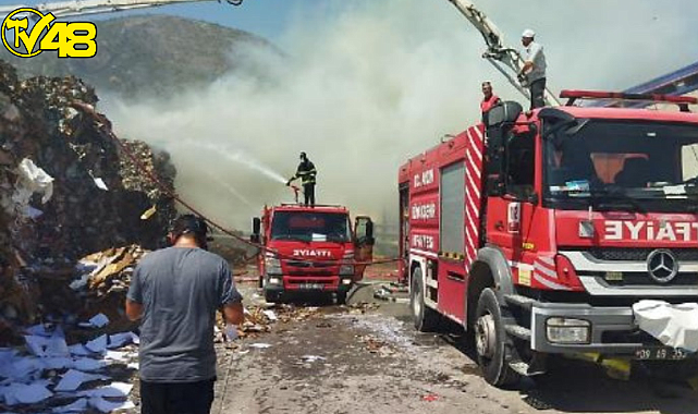 Aydın Söke&#039;de Yangın