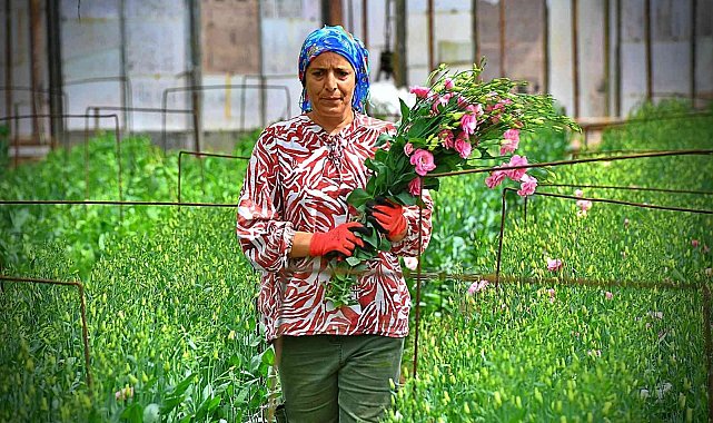 Bademler&#039;in çiçek üreticisi Hollanda borsasında