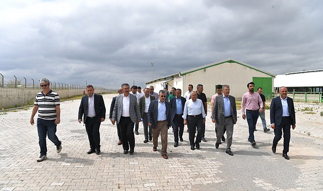 Başkan Büyükkılıç&#039;tan Felahiye&#039;de hayvancılığa yeni hamle
