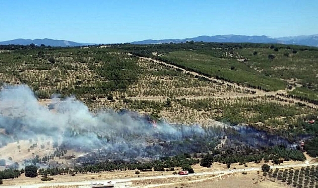 Bergama&#039;daki Yangın ağaçlandırma sahasına sıçradı