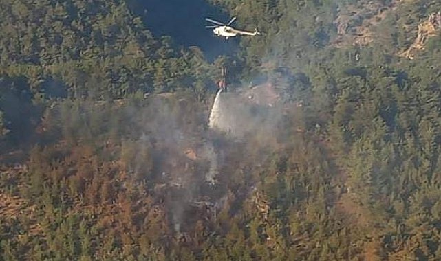 Bergama&#039;daki orman yangını 1 saatte kontrol altında